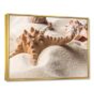 Close Up of Starfish and Seashell on Light Sand Canvas Wall Art Print