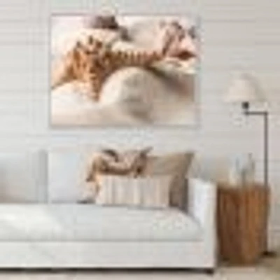 Close Up of Starfish and Seashell on Light Sand Canvas Wall Art Print