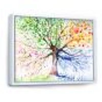 Four Seasons Tree  Canvas Art Print