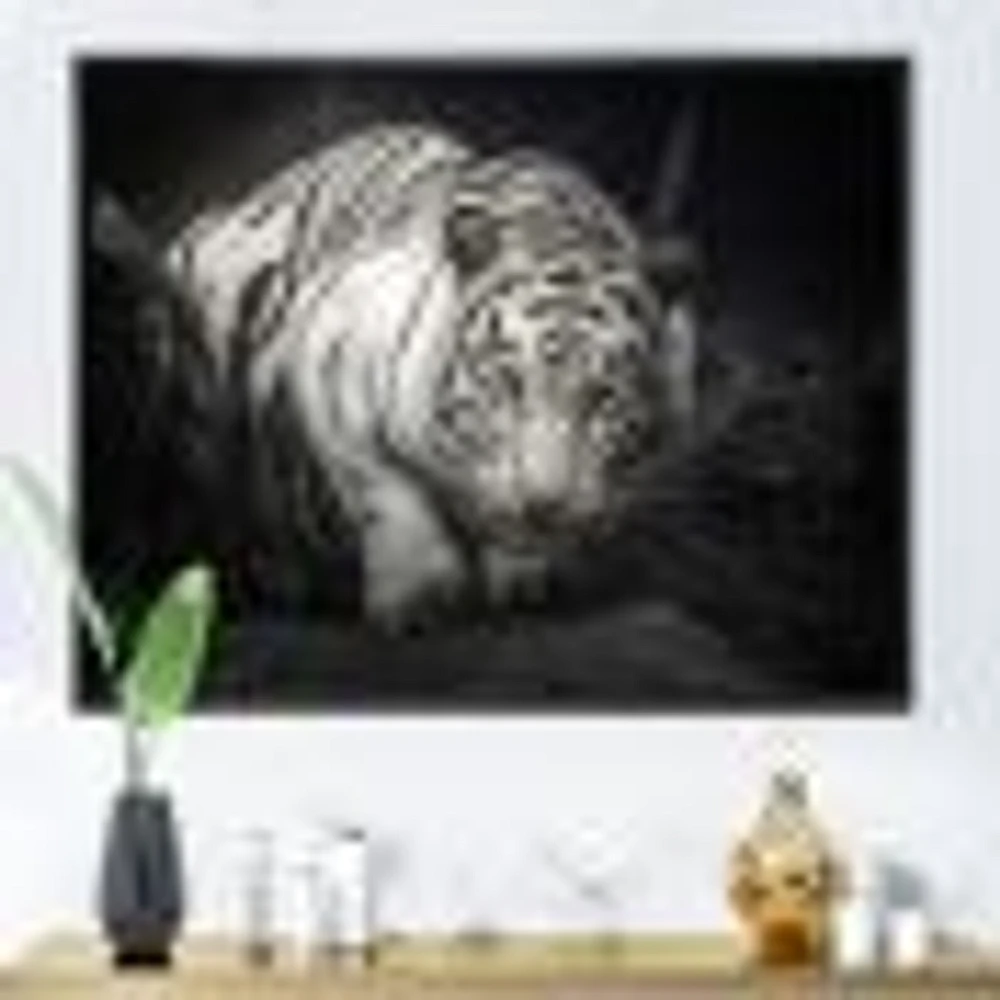 White Tiger  Wall Art