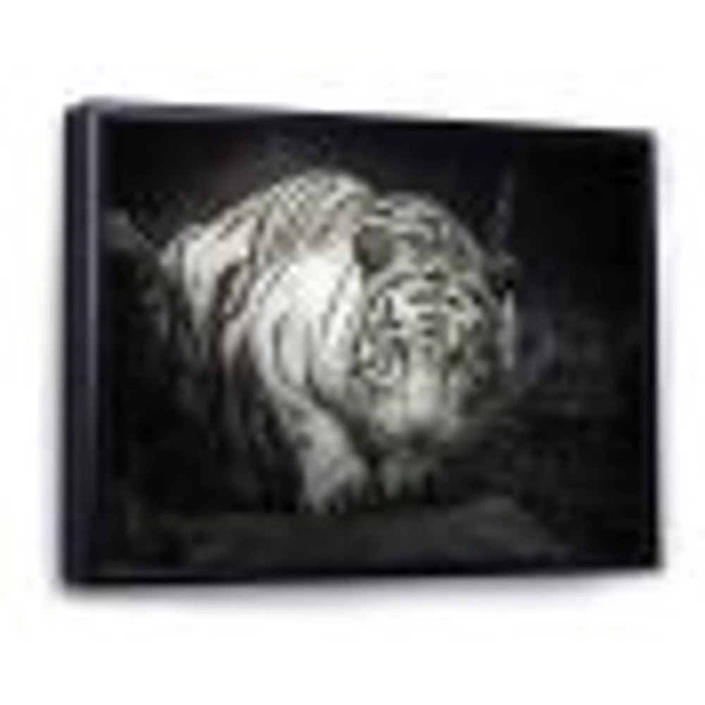 White Tiger  Wall Art