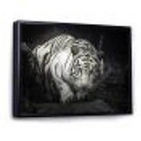 White Tiger  Wall Art