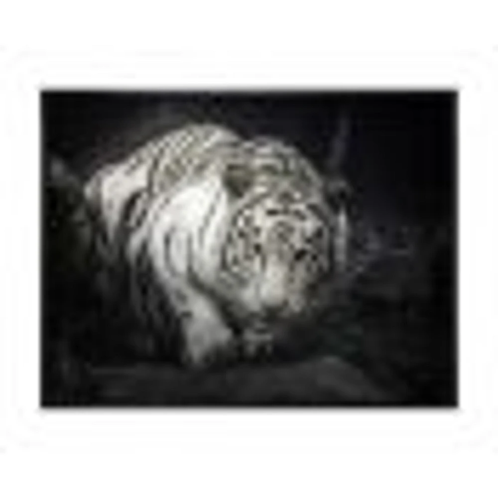 White Tiger  Wall Art