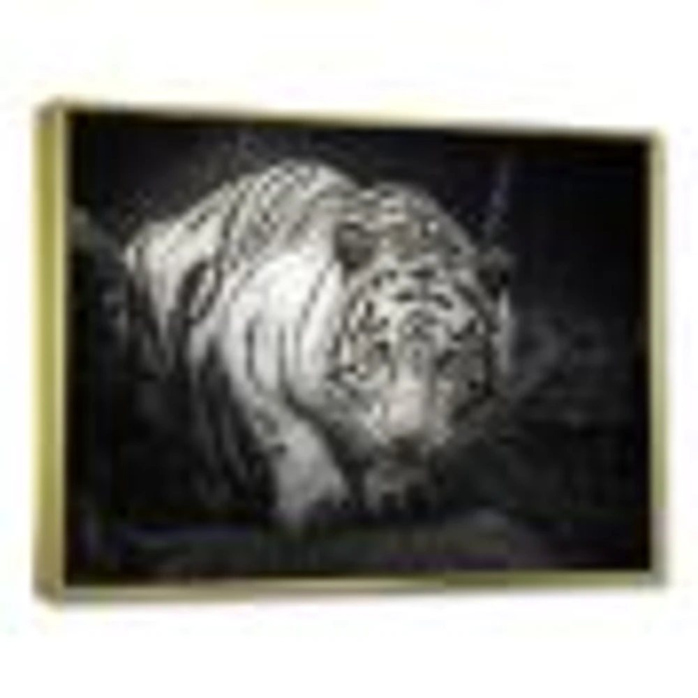 White Tiger  Wall Art