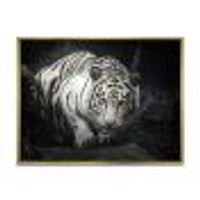 White Tiger  Wall Art