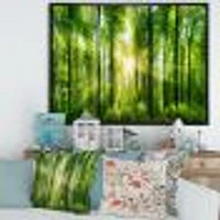 Toile « Forest with Rays of Sun Panorama »