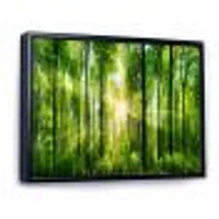 Toile « Forest with Rays of Sun Panorama »