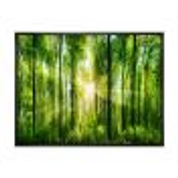 Toile « Forest with Rays of Sun Panorama »