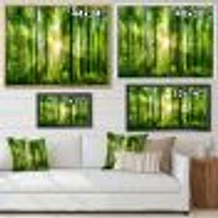 Forest with Rays of Sun Panorama  Wall Art