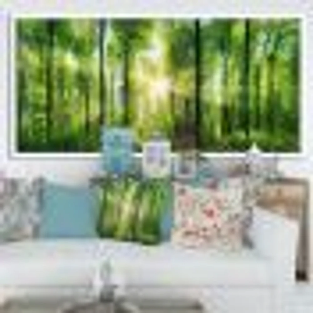 Forest with Rays of Sun Panorama  Wall Art