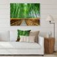 Path to Bamboo Forest  Wall Art