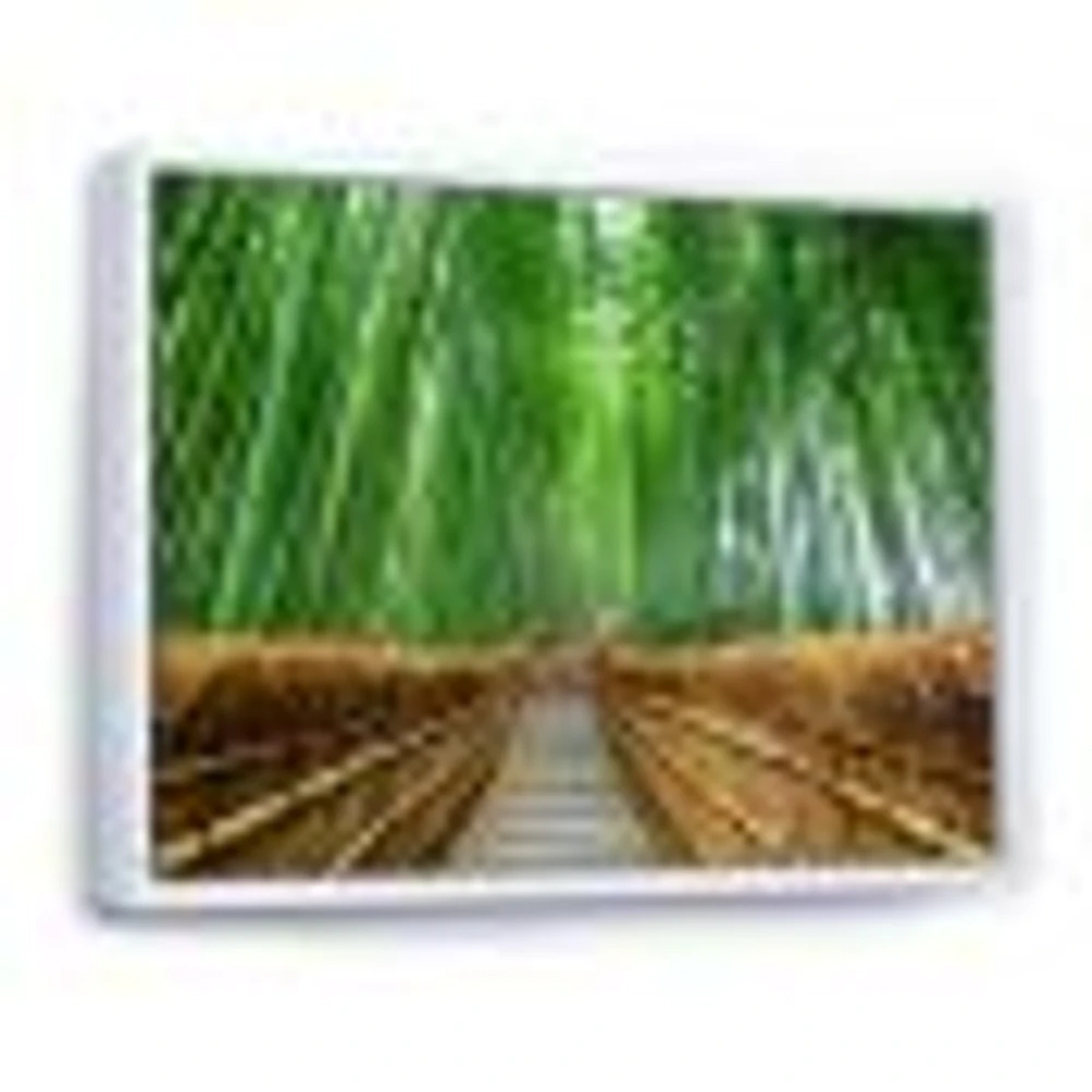 Path to Bamboo Forest  Wall Art