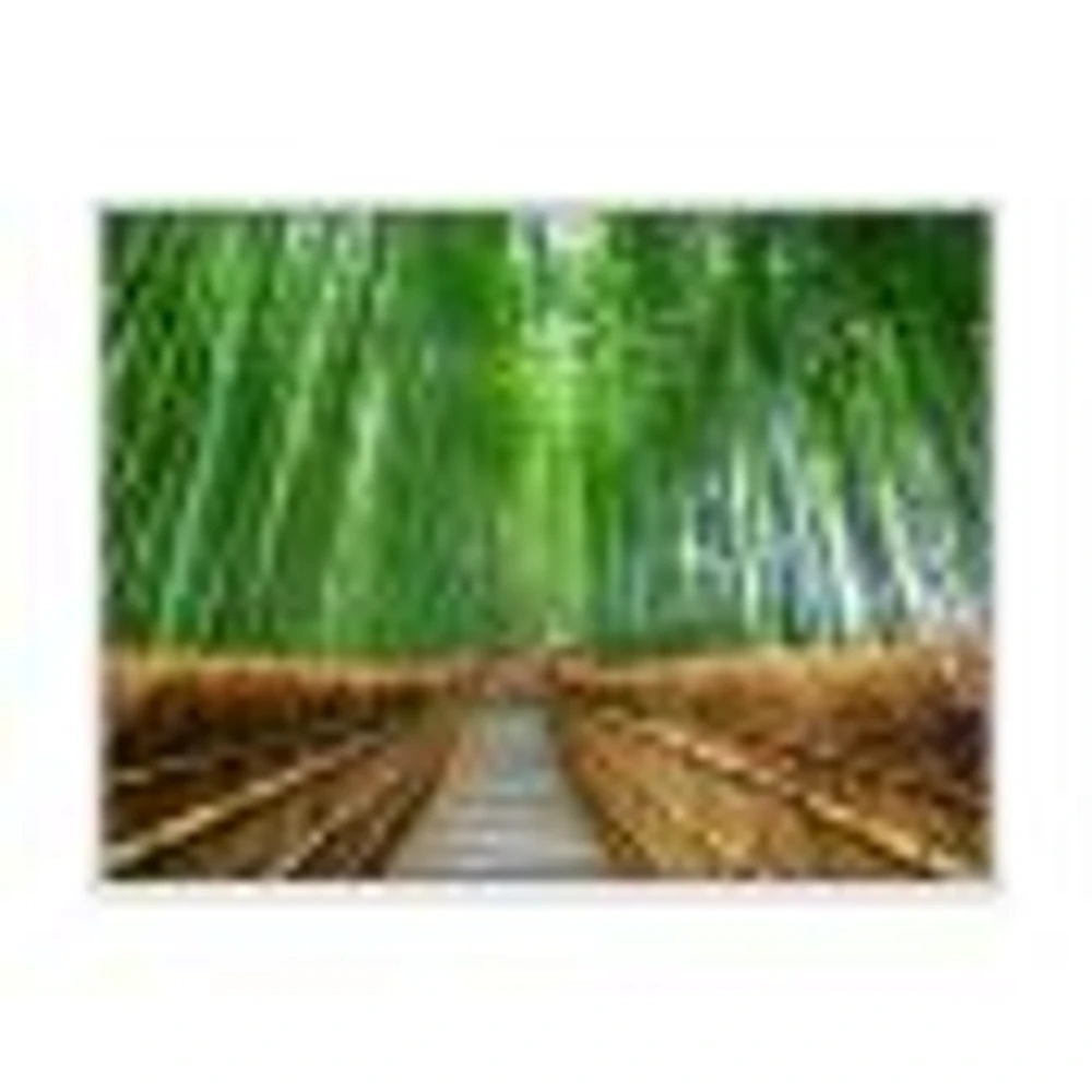 Path to Bamboo Forest  Wall Art