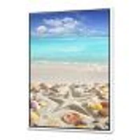 Caribbean Sea Starfish  Canvas Wall Art Print