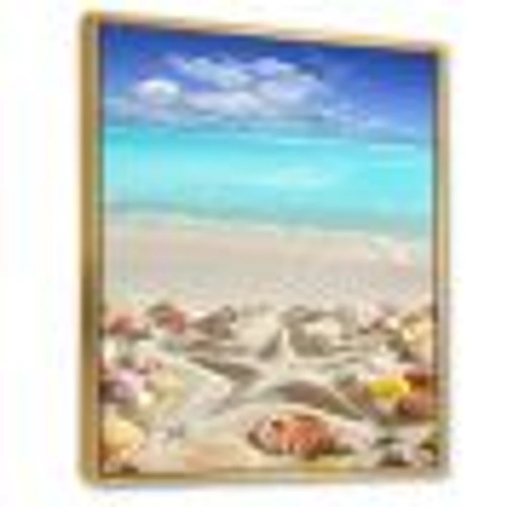 Caribbean Sea Starfish  Canvas Wall Art Print