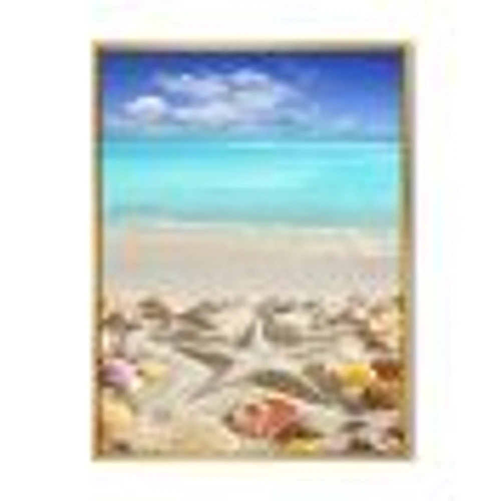 Caribbean Sea Starfish  Canvas Wall Art Print