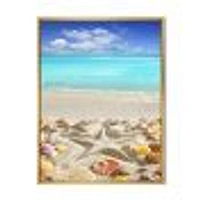 Caribbean Sea Starfish  Canvas Wall Art Print