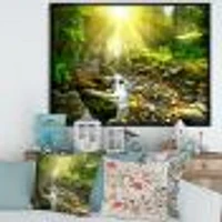 Mountain Stream Forest  Wall Art