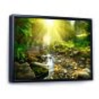 Mountain Stream Forest  Wall Art