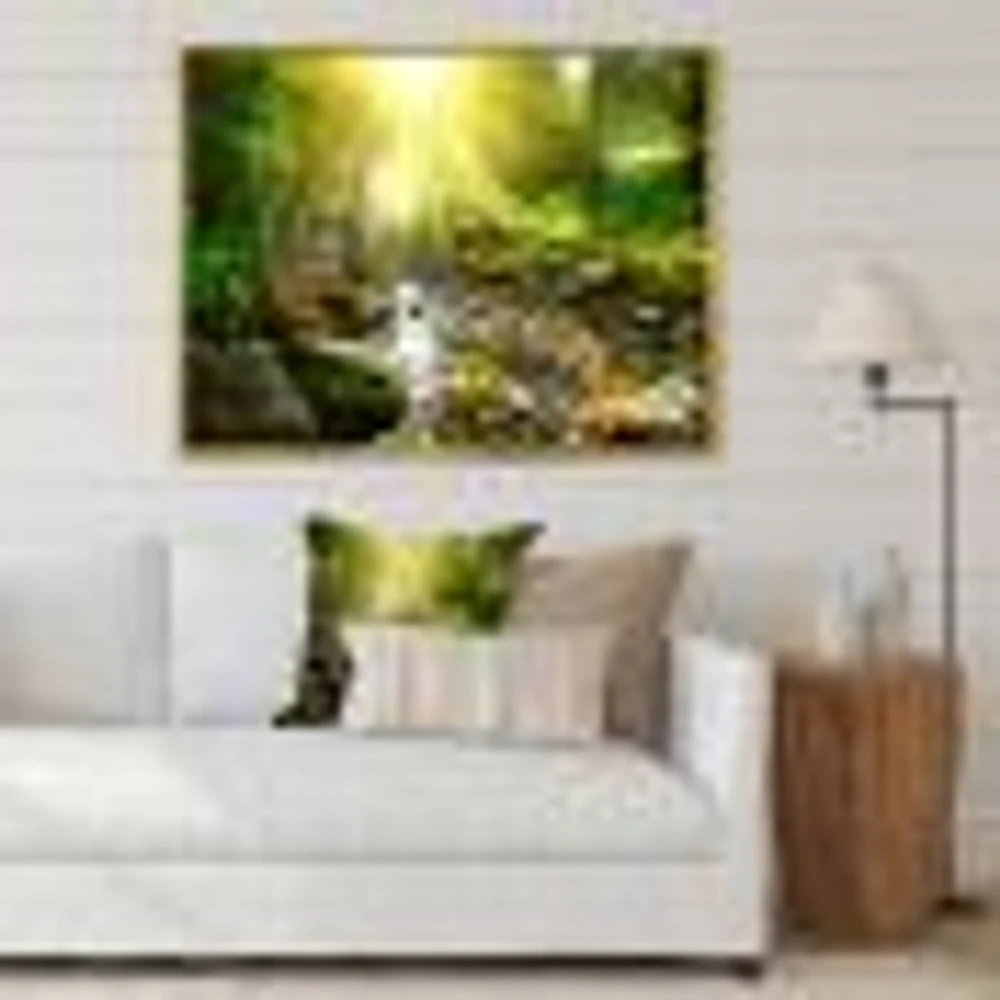 Mountain Stream Forest  Wall Art