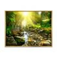 Mountain Stream Forest  Wall Art