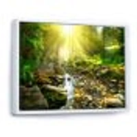 Mountain Stream Forest  Wall Art