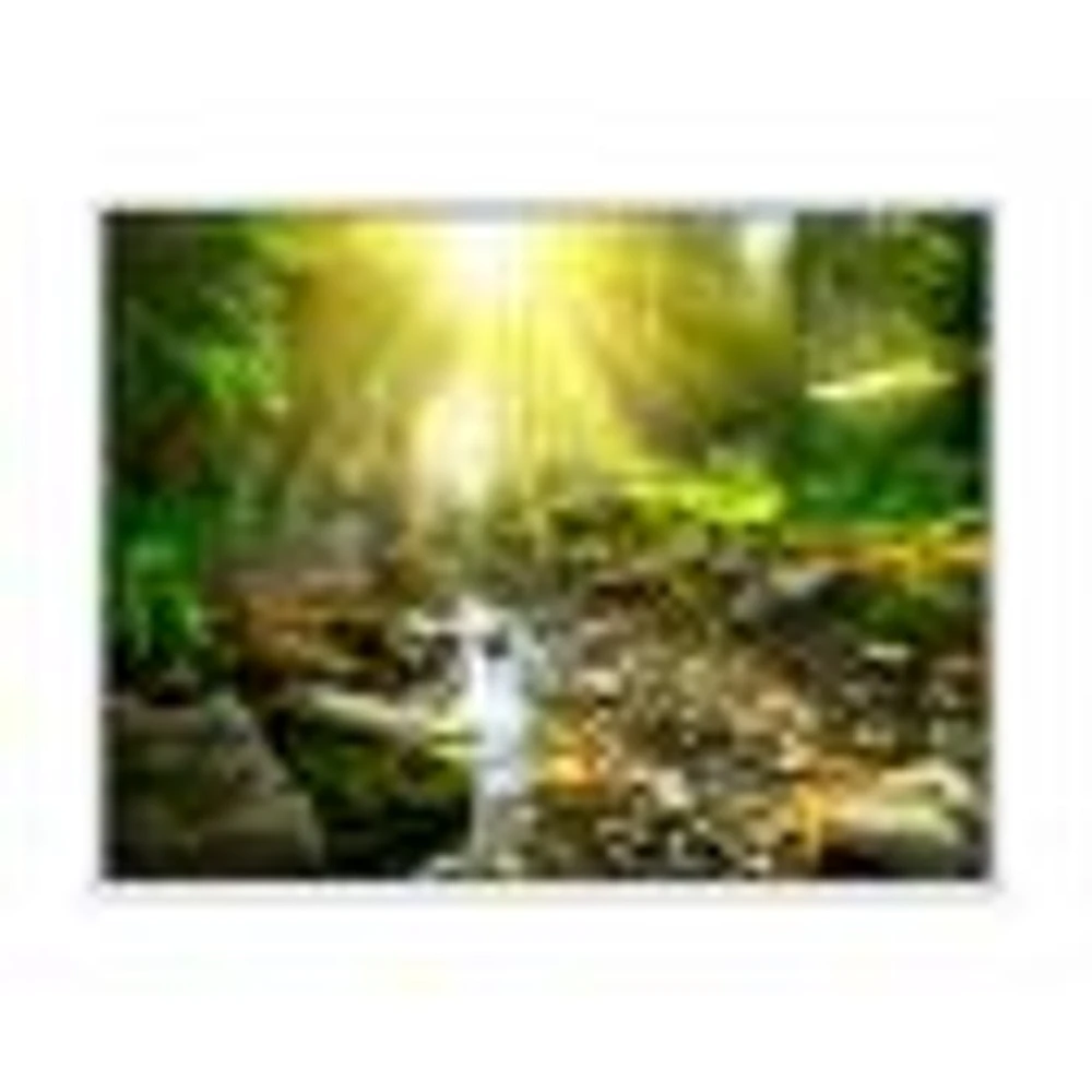 Mountain Stream Forest  Wall Art