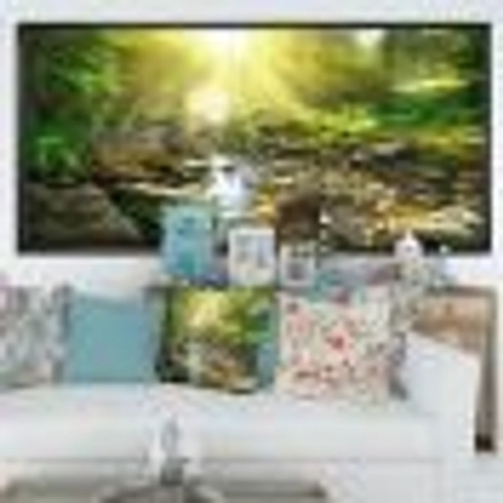 Mountain Stream Forest  Wall Art