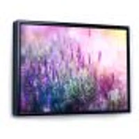 Growing and Blooming Lavender  Canvas Print