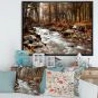 Stream Autumn Forest  Canvas Print