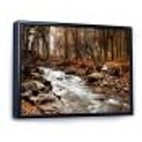 Stream Autumn Forest  Canvas Print