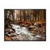 Stream Autumn Forest  Canvas Print