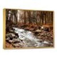 Stream Autumn Forest  Canvas Print