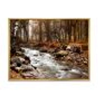 Stream Autumn Forest  Canvas Print