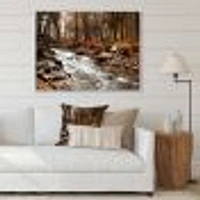 Stream Autumn Forest  Canvas Print