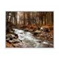 Stream Autumn Forest  Canvas Print