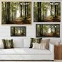 Green Fall Forest with Sun Rays  Canvas Print