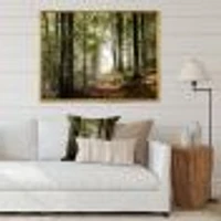 Green Fall Forest with Sun Rays  Canvas Print