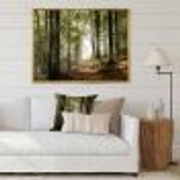 Green Fall Forest with Sun Rays  Canvas Print