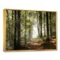 Green Fall Forest with Sun Rays  Canvas Print