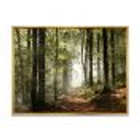 Green Fall Forest with Sun Rays  Canvas Print