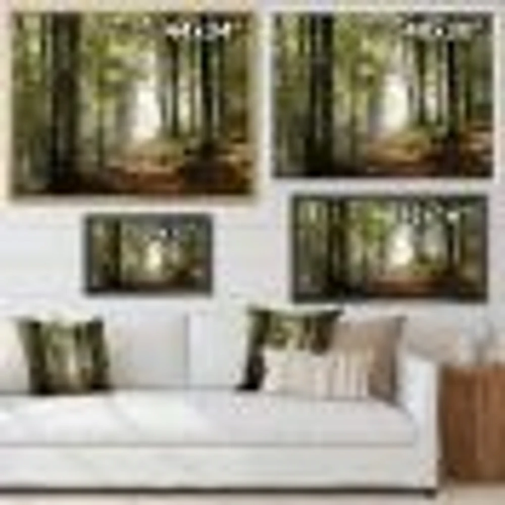 Green Fall Forest with Sun Rays  Canvas Print