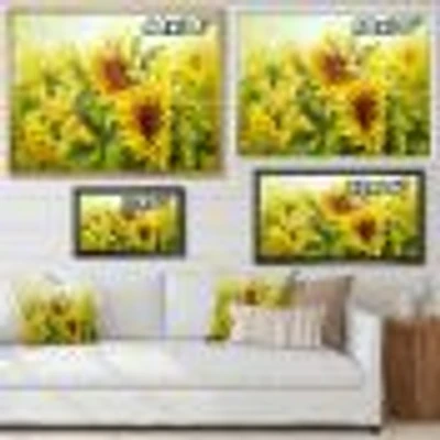 Bright Yellow Sunny SunFlowers Canvas Print