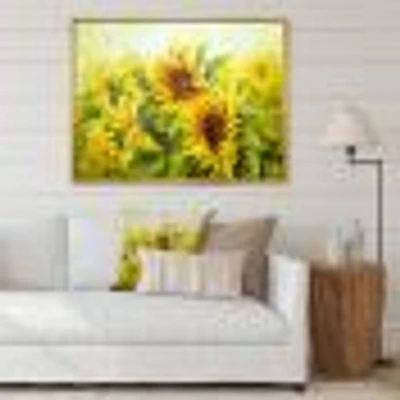 Bright Yellow Sunny SunFlowers Canvas Print