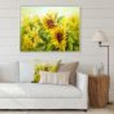 Bright Yellow Sunny SunFlowers Canvas Print