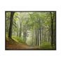 Toile « Green Beach Forest Pathway