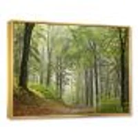 Toile « Green Beach Forest Pathway