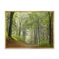 Toile « Green Beach Forest Pathway