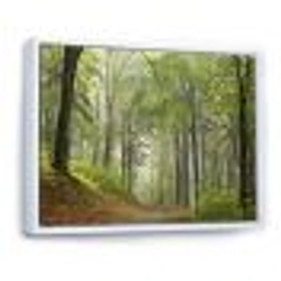 Green Beach Forest Pathway  Wall Art