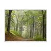 Toile « Green Beach Forest Pathway